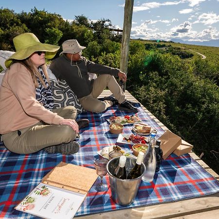 Garden Route Game Lodge Albertinia Экстерьер фото