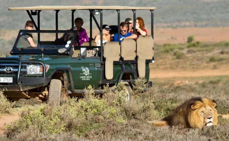 Garden Route Game Lodge Albertinia Экстерьер фото