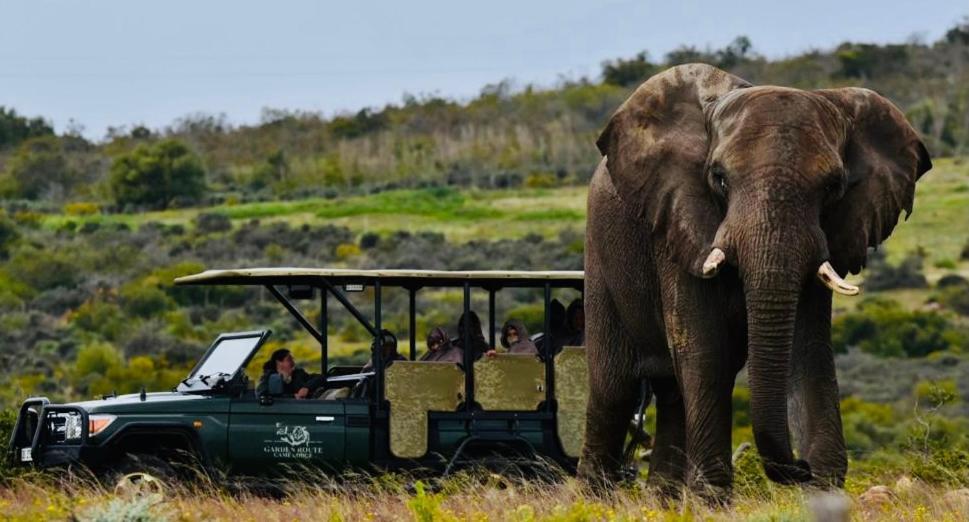 Garden Route Game Lodge Albertinia Экстерьер фото