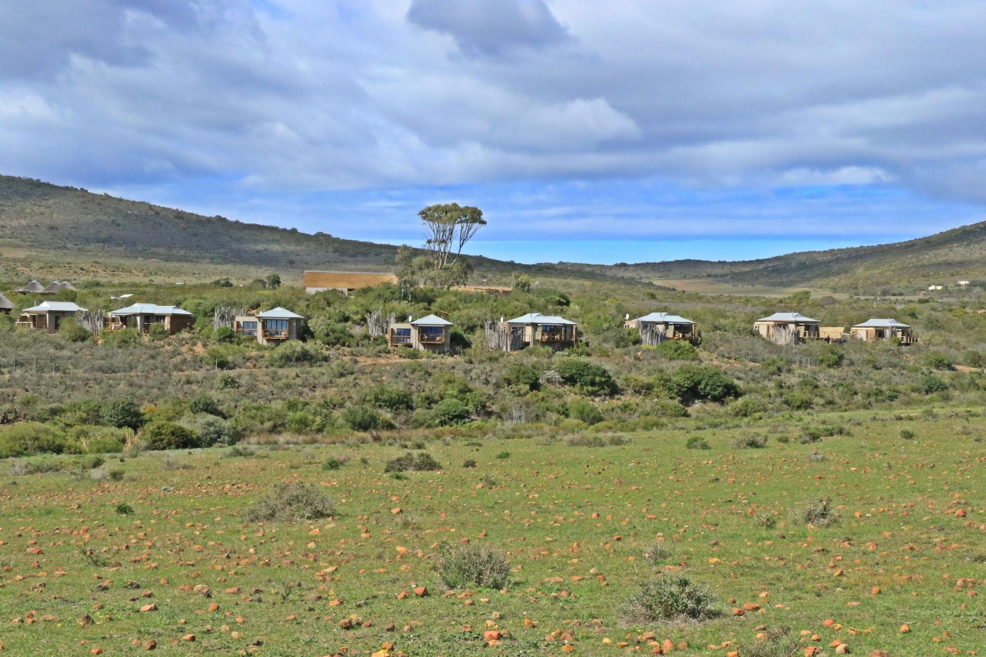 Garden Route Game Lodge Albertinia Экстерьер фото