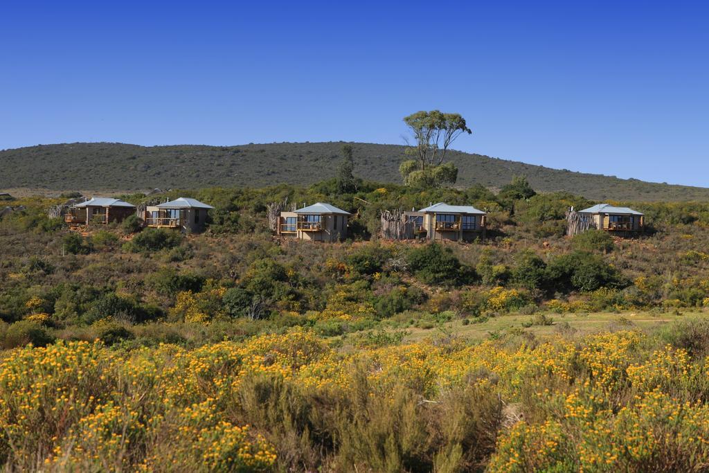 Garden Route Game Lodge Albertinia Экстерьер фото