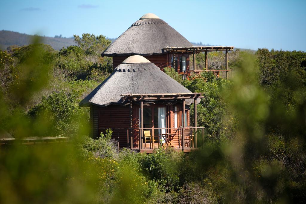 Garden Route Game Lodge Albertinia Экстерьер фото