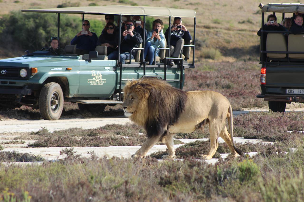 Garden Route Game Lodge Albertinia Экстерьер фото