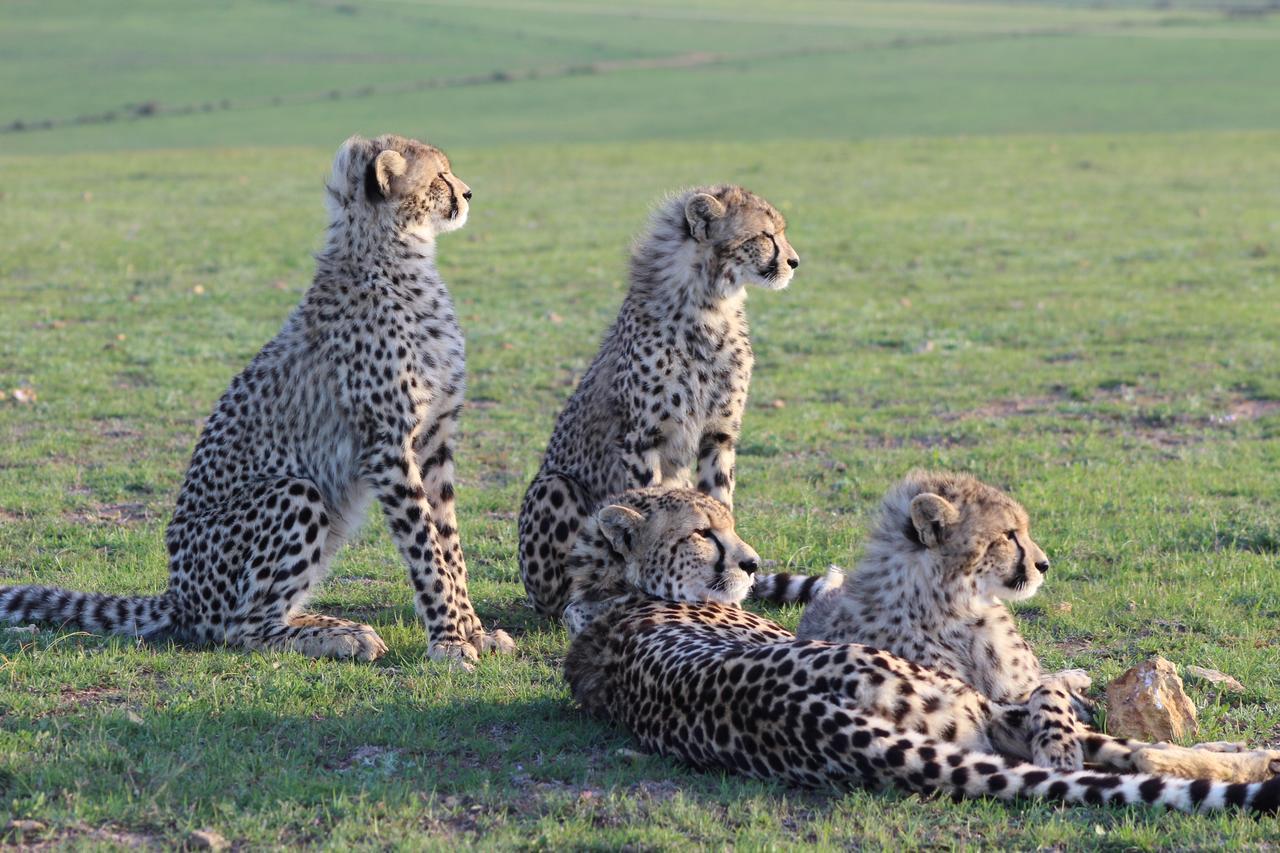 Garden Route Game Lodge Albertinia Экстерьер фото